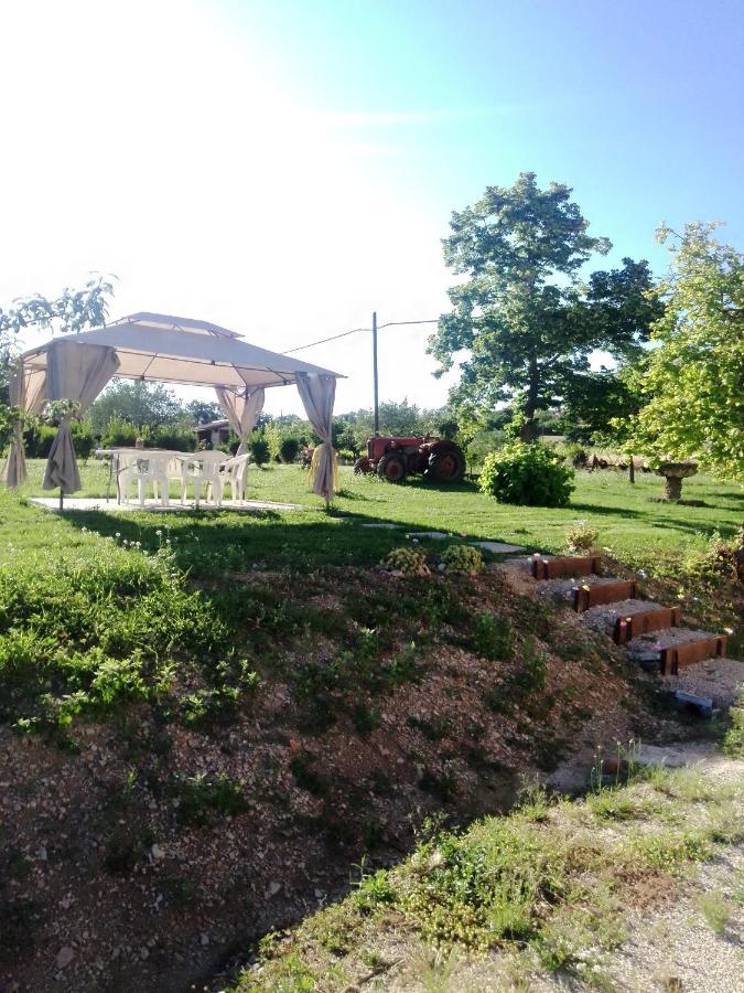 Casa Carducci Affittacamere Monteleto ภายนอก รูปภาพ